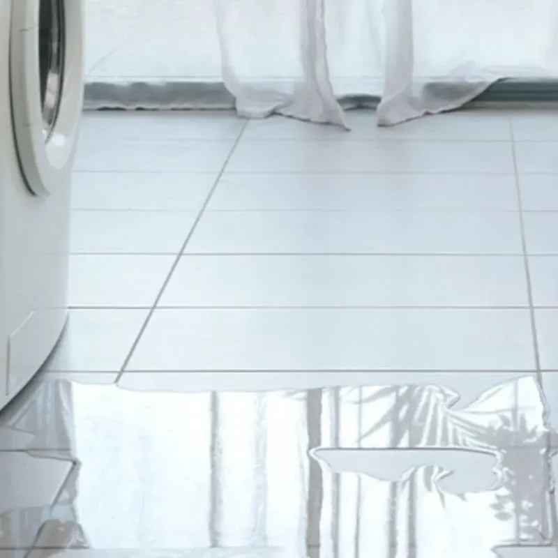 Appliance Leak Cleanup in Glenn Heights, TX