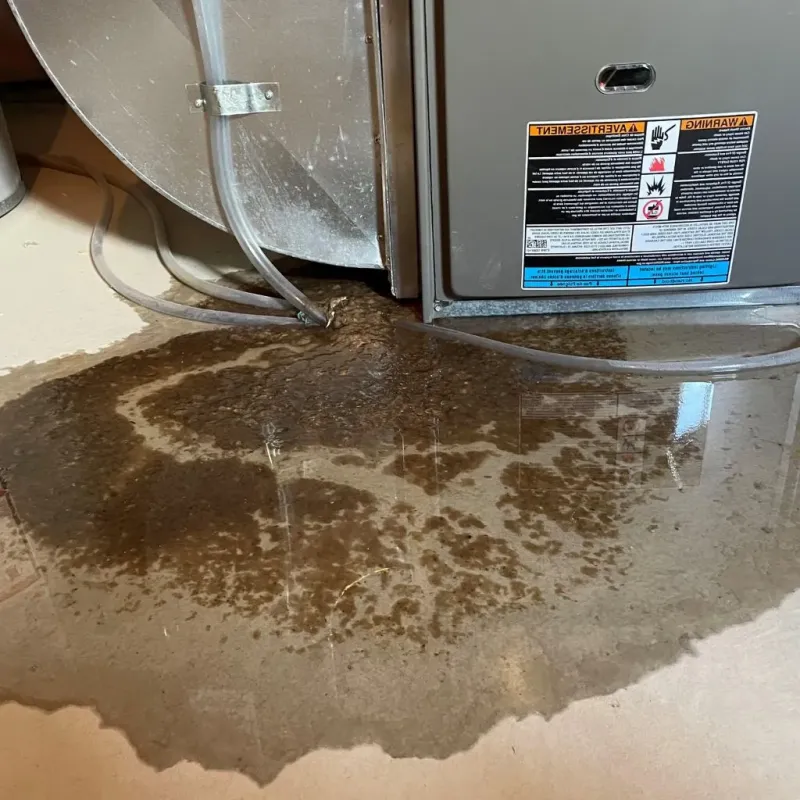 Pipe Burst and Leak Restoration in Glenn Heights, TX