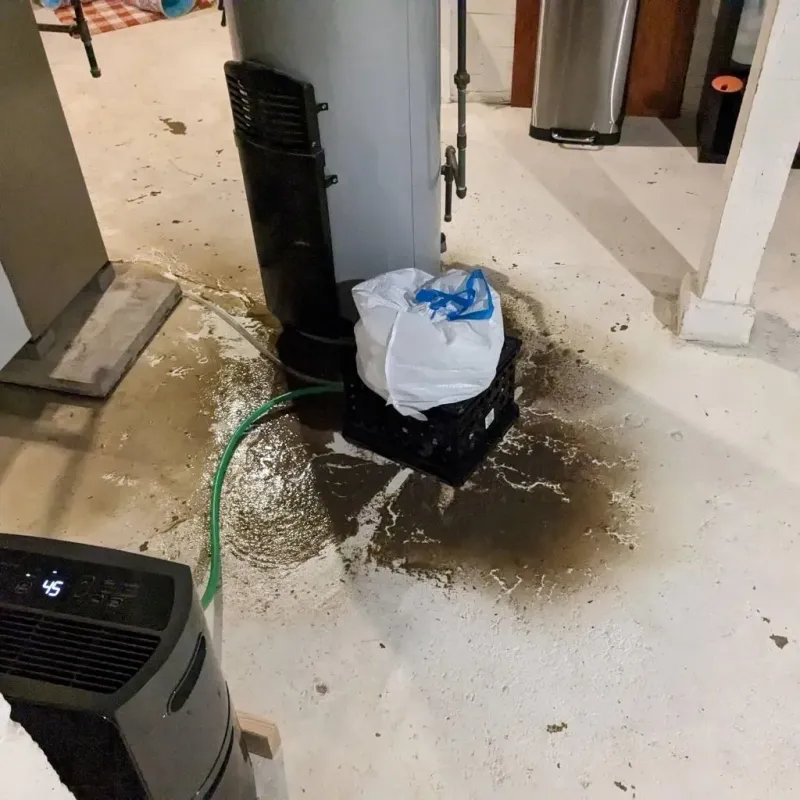 Sewage Backup Cleanup Service in Glenn Heights, TX